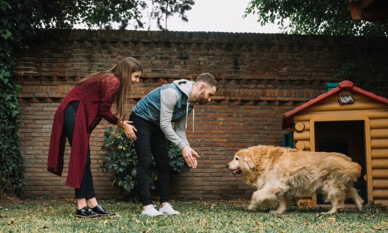 can dogs have autism​